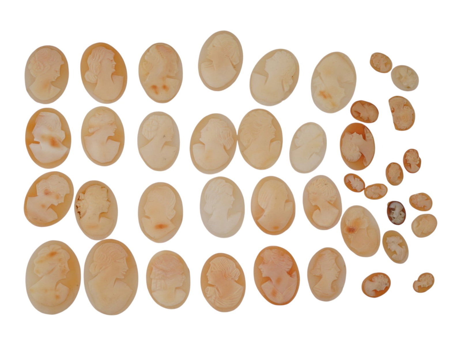 COLLECTION OF CARVED FEMALE PORTRAIT SHELL CAMEOS: A collection of hand carved pink shell cameos. A total of 40 items. Each piece depicts a female profile portrait rendered in high relief. Oval shape. Collectible Jewelry And Glyptic Art, Sculpture. TH