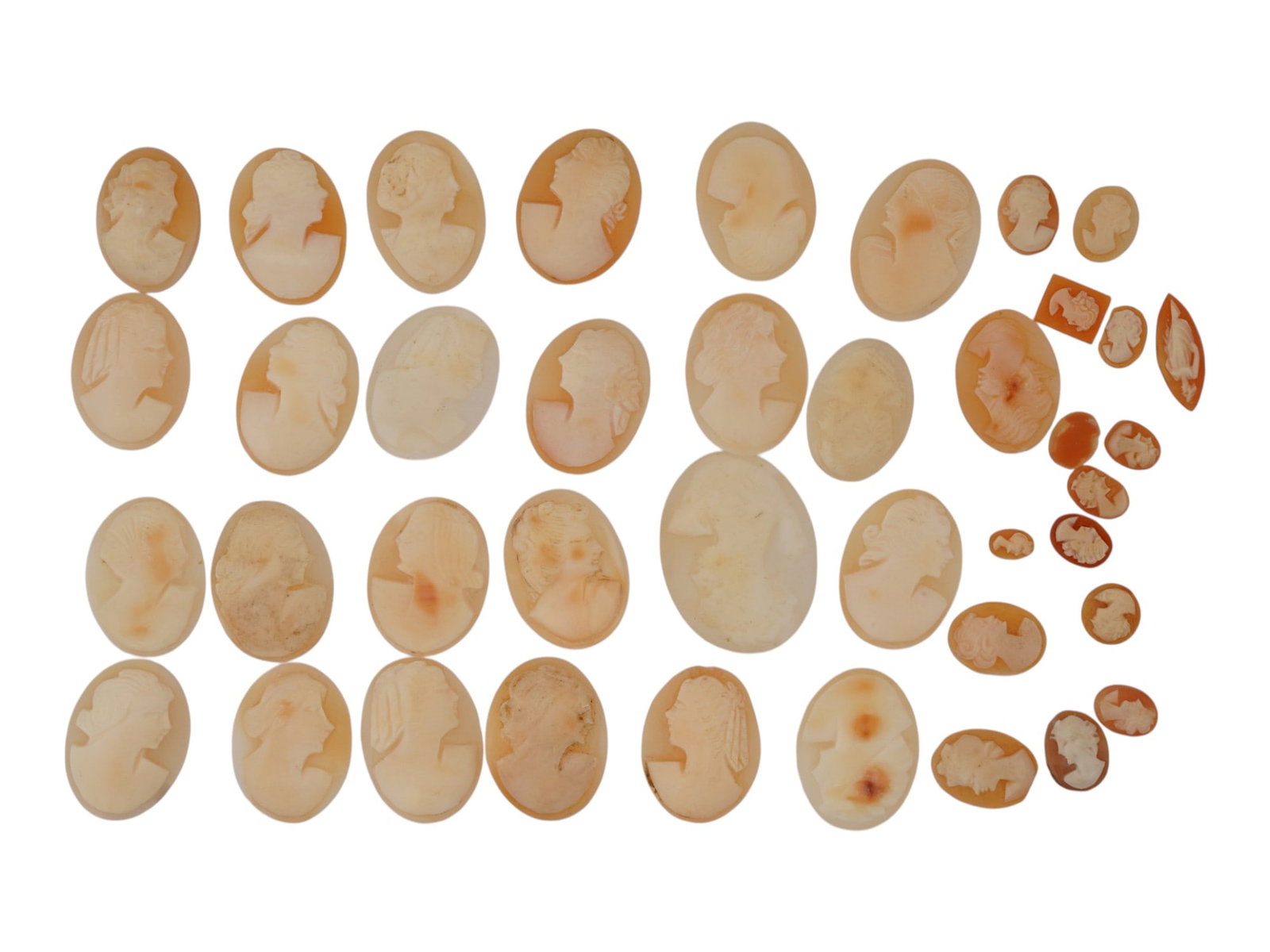 COLLECTION OF CARVED FEMALE PORTRAIT SHELL CAMEOS: A collection of hand carved pink shell cameos. A total of 40 items. Each piece depicts a female profile portrait rendered in high relief. Oval shape. Collectible Jewelry And Glyptic Art, Sculpture. TH