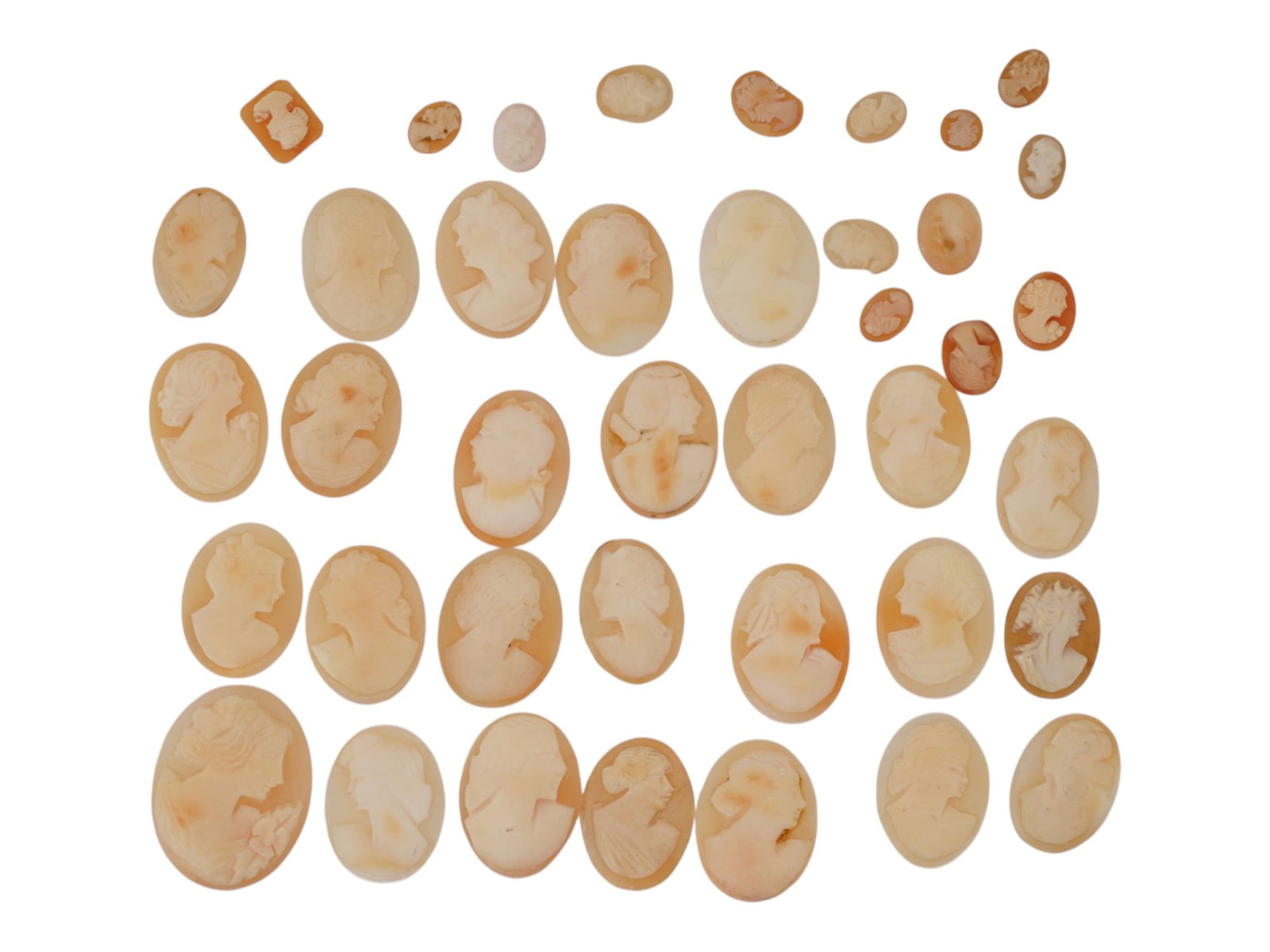 COLLECTION OF CARVED FEMALE PORTRAIT SHELL CAMEOS: A collection of hand carved pink shell cameos. A total of 40 items. Each piece depicts a female profile portrait rendered in high relief. Oval shape. Collectible Jewelry And Glyptic Art, Sculpture. TH