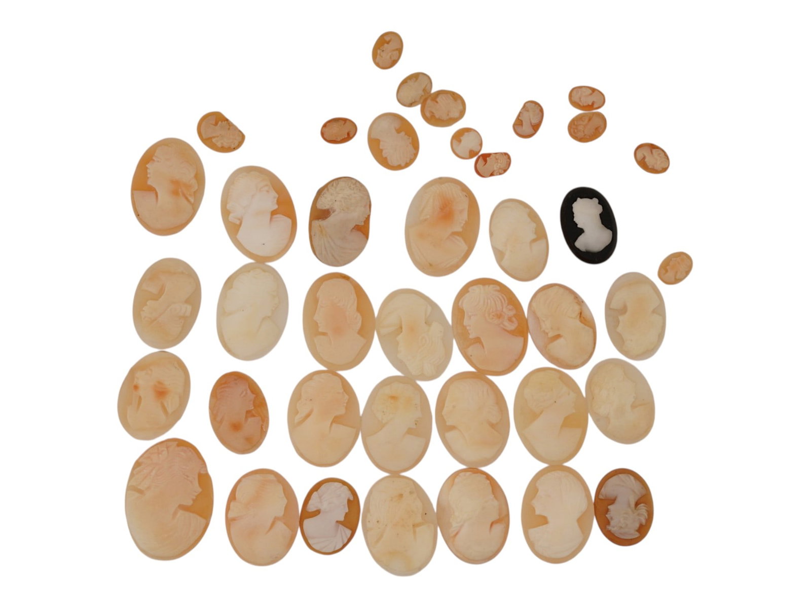 COLLECTION OF CARVED FEMALE PORTRAIT SHELL CAMEOS: A collection of hand carved pink shell cameos. A total of 40 items. Each piece depicts a female profile portrait rendered in high relief. Oval shape. Collectible Jewelry And Glyptic Art, Sculpture. TH