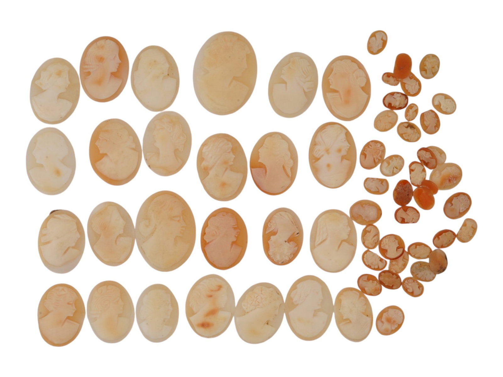 COLLECTION OF CARVED FEMALE PORTRAIT SHELL CAMEOS: A collection of hand carved pink shell cameos. Approximately 55 items in total. Each piece depicts a female profile portrait rendered in high relief. Oval shape. Collectible Jewelry And Glyptic Art, S