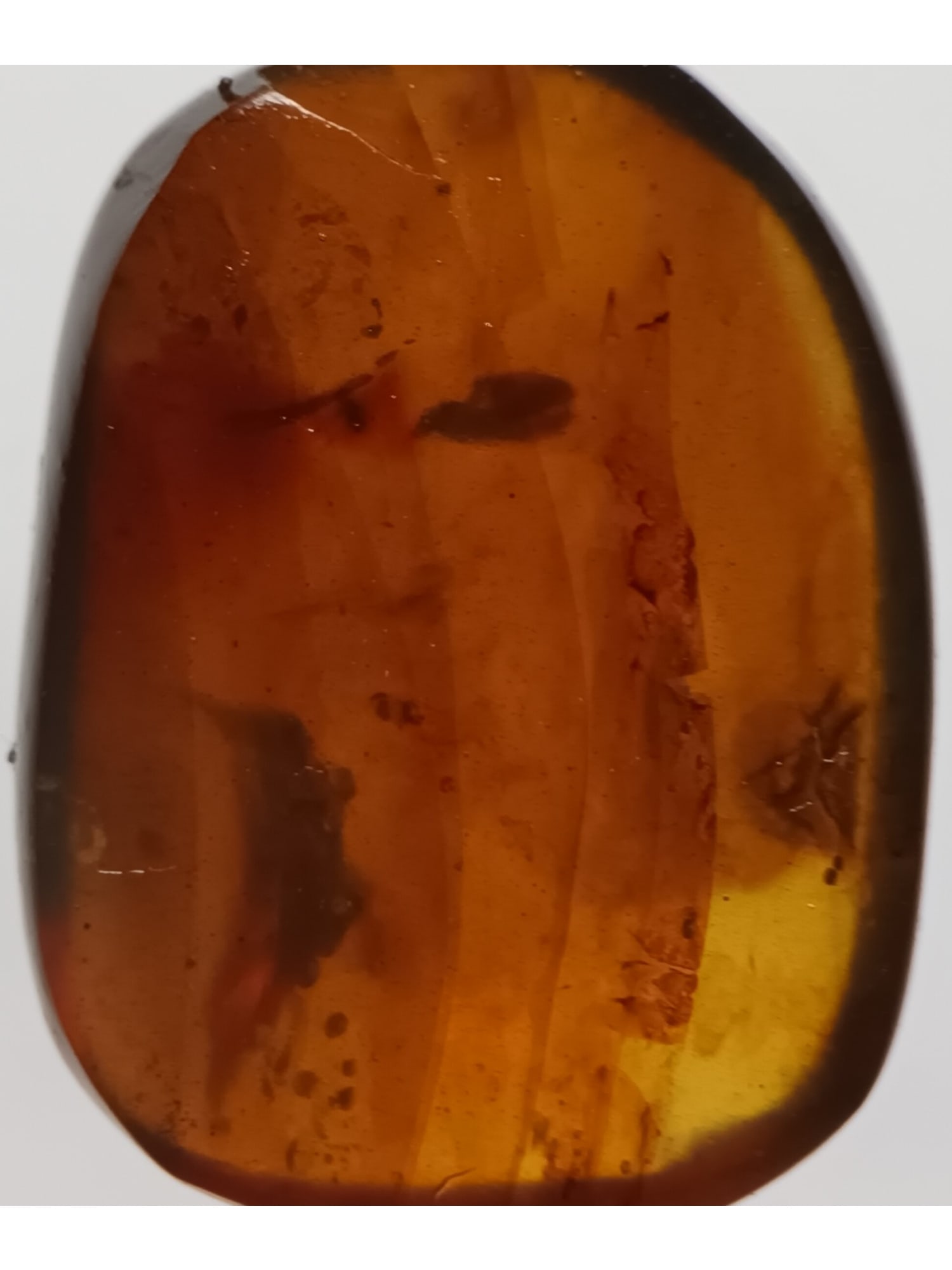 BURMITE AMBER WITH FLY - 2