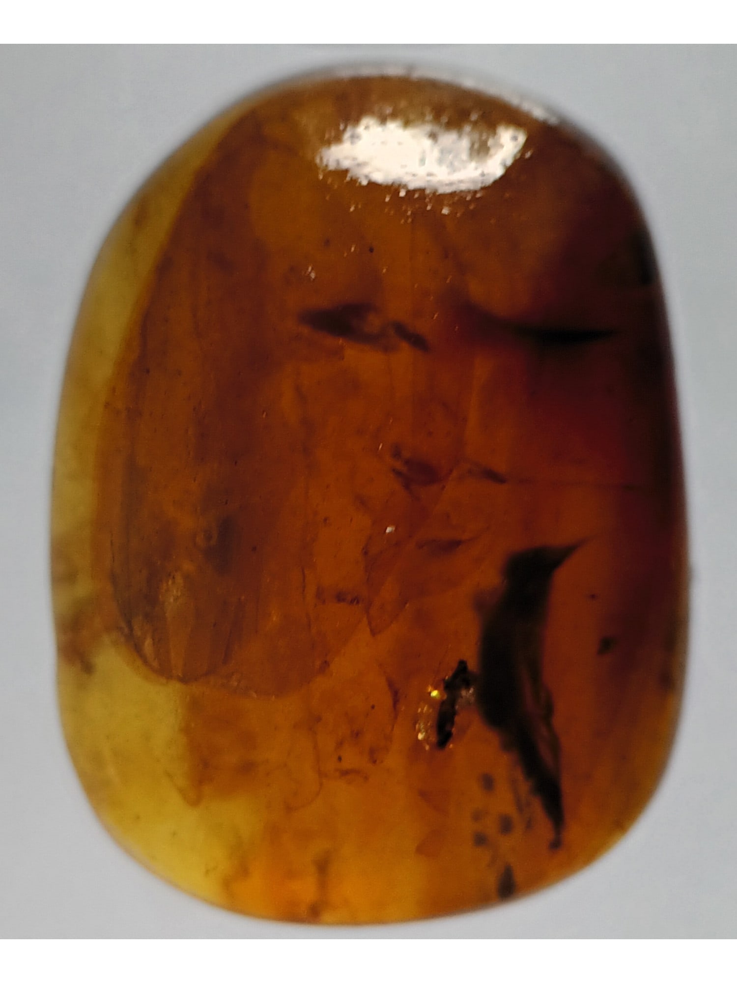 BURMITE AMBER WITH FLY - 3
