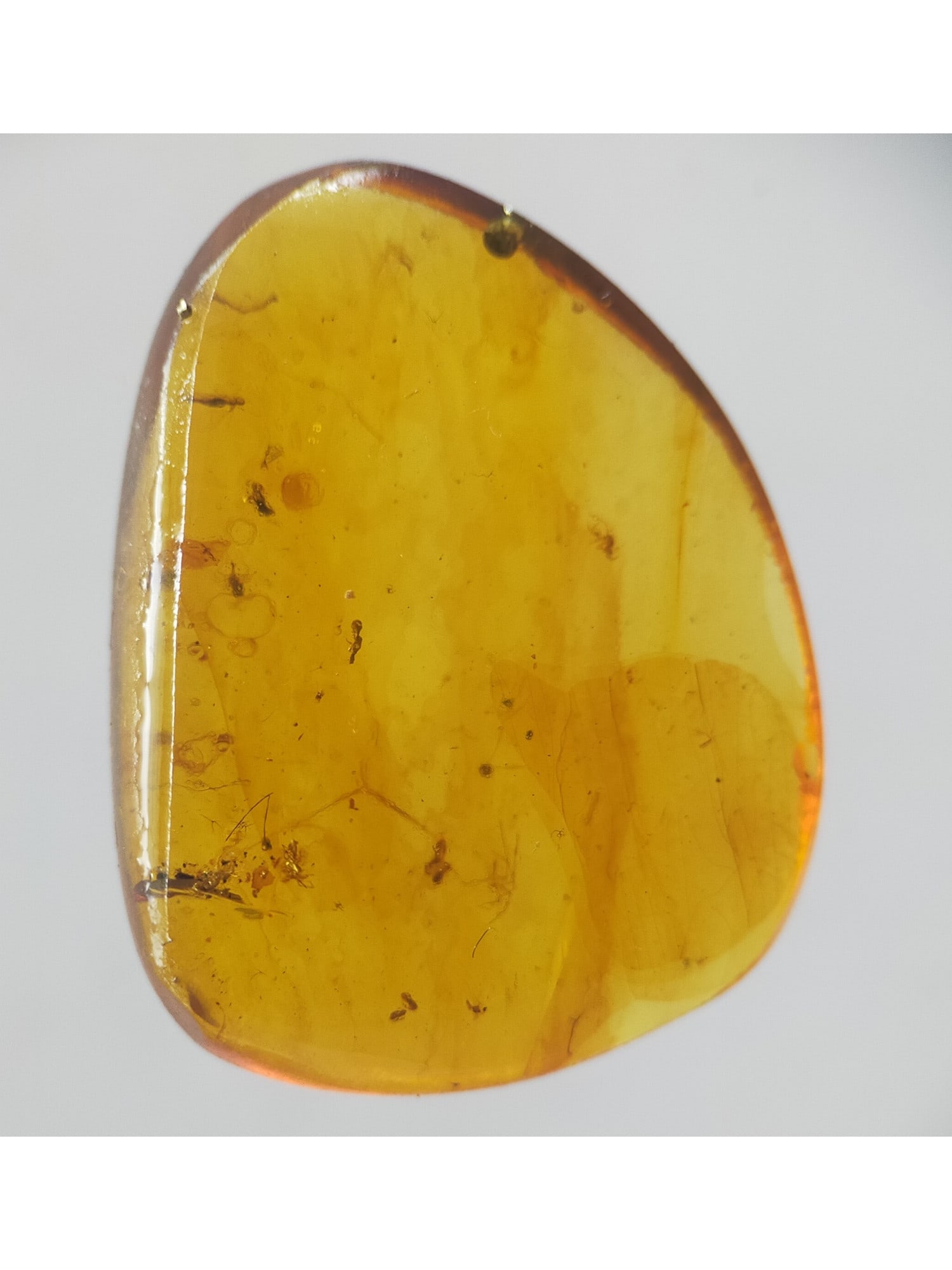 BURMITE AMBER WITH FIVE INSECTS - 2