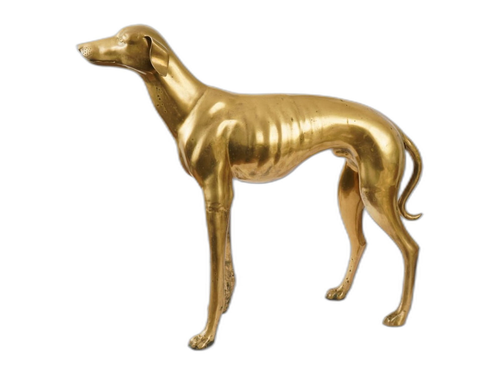 LIFE SIZE VINTAGE BRASS GREYHOUND DOG SCULPTURE: A life size vintage American gilt brass sculpture, representing a Greyhound dog in standing position. Hollywood Regency, circa 1950 to 1955. The piece captures a dogs form with elegant detailing, show