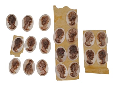 COLLECTION OF HAND CARVED SHELL CAMEO MEDALLIONS