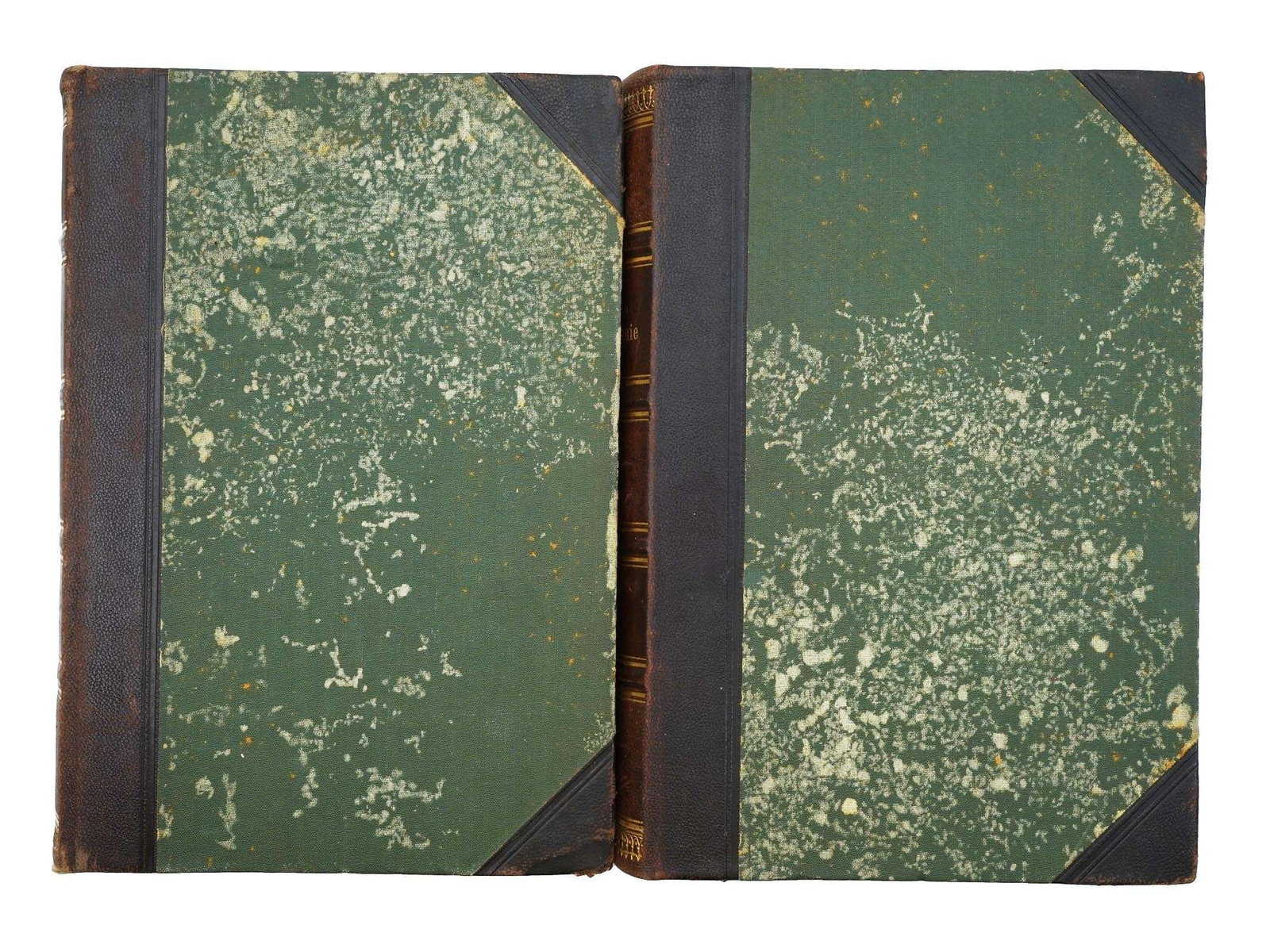 ANTIQUE EDITION ETHNOGRAPHY FRIEDRICH RATZEL TWO VOLS (1 of 9)