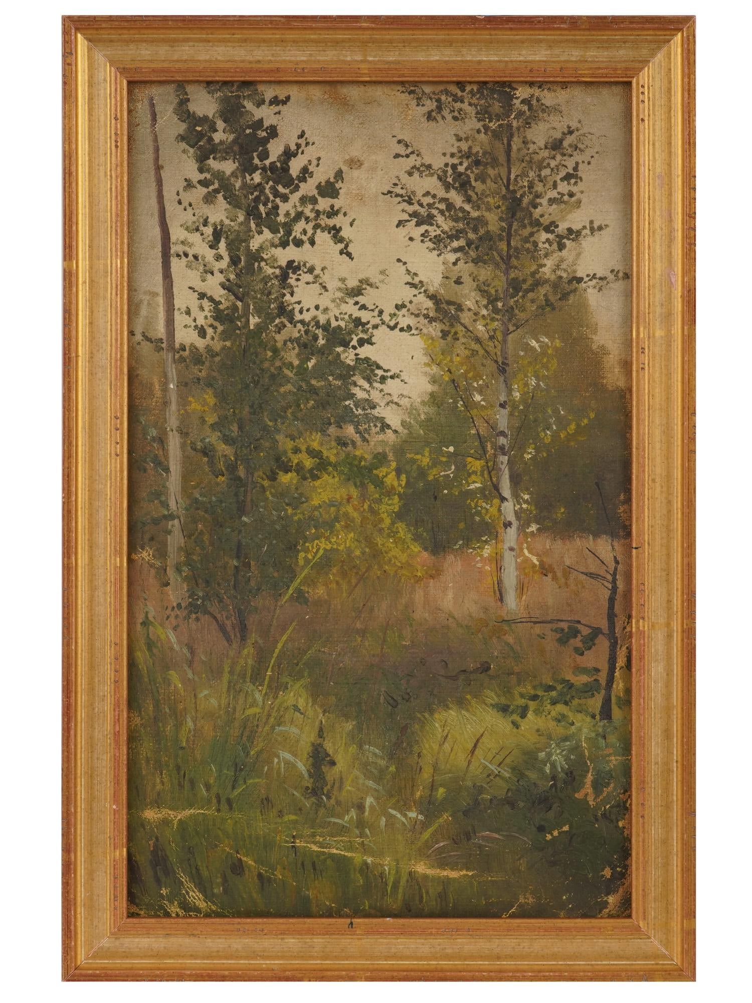 YURI PAVLOVICH UKRANIAN LANDSCAPE OIL PAINTING: Yuri Pavlovich, Ukranian, 1874 to 1947, oil painting on canvas. The artwork depicts a birch grove. Unsigned. Framed. Yuri Pavlovich was a Ukranian painter, ethnographer, and researcher of Ukrainian fo