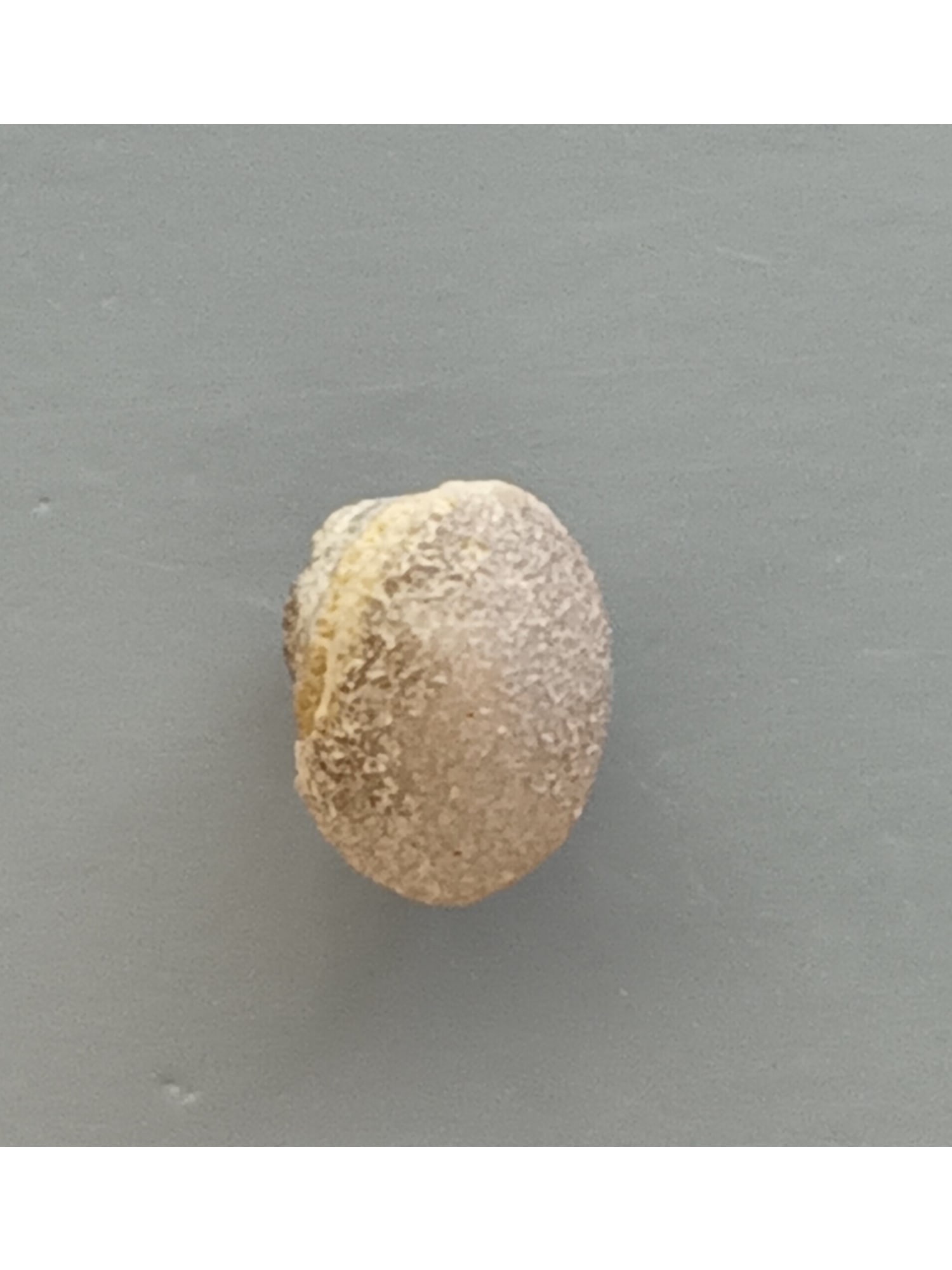 SMALL & PRETTY EYE AGATE - 2