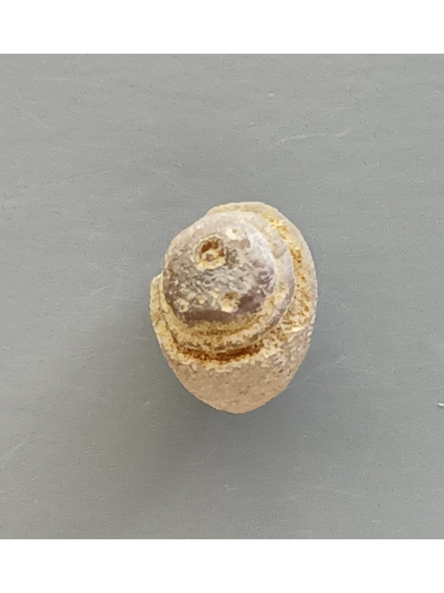 SMALL & PRETTY EYE AGATE - 4