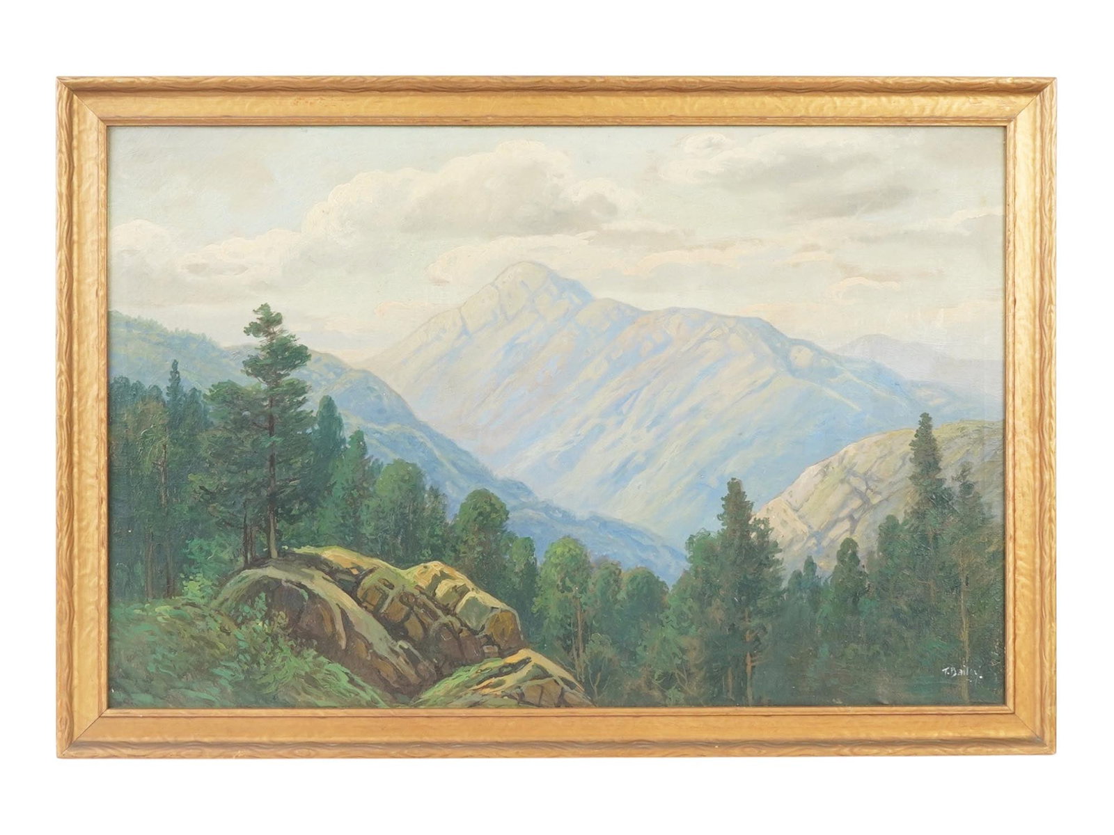 AMERICAN OIL LANDSCAPE PAINTING BY T BAILEY: A vintage American oil on canvas landscape painting by T. Bailey. Circa early to mid 20th century. The painting depicts a summer forest landscape among the mountains. Signed by the artist lower right.