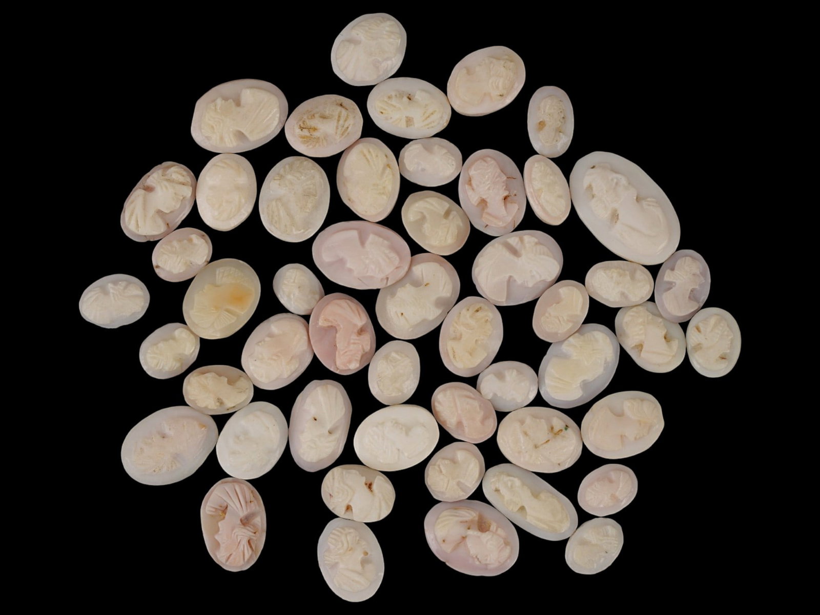 COLLECTION OF FEMALE PORTRAIT CARVED CORAL CAMEOS: A large collection of hand carved white and pink coral cameos. Each piece depicts a female profile portrait rendered in high relief. Oval shape. Flat bottom. Collectible Jewelry And Glyptic Art, Sculp