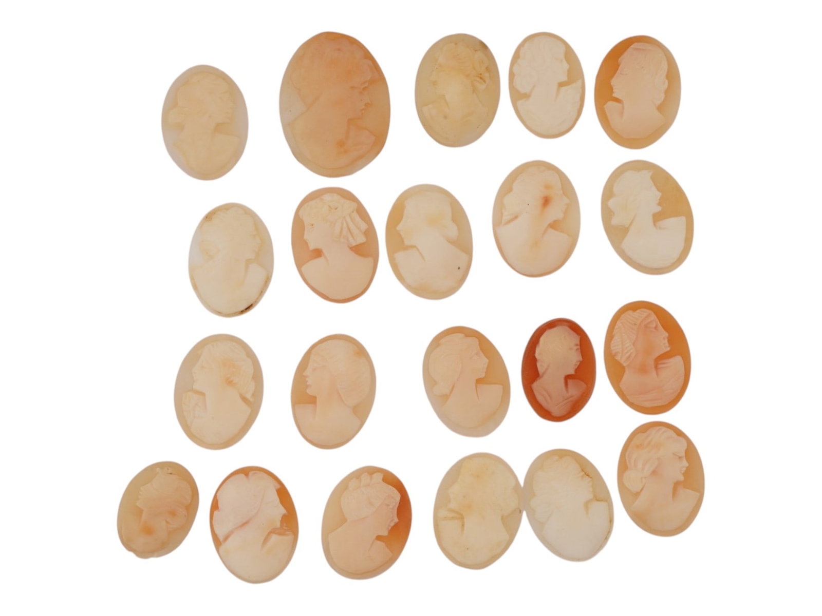ANTIQUE HAND CARVED LOOSE SHELL CAMEO PLAQUES: A collection of antique loose shell cameo plaques, hand-carved in the traditional glyptic art style. Crafted from natural marine shells, the cameos feature raised female portraits. Antique Carvings An