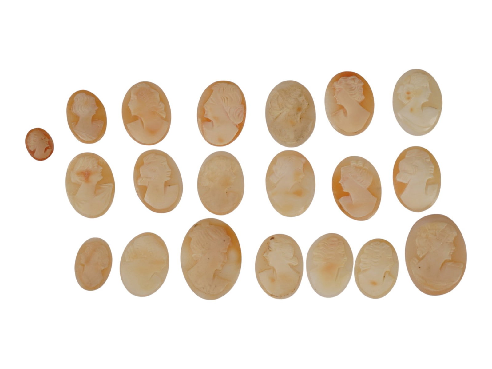 LOT OF FEMALE PORTRAIT CARVED SHELL CAMEOS: A lot of 20 hand carved conch shell cameos. Each piece depicts a female profile portrait rendered in high relief. Oval shape. Collectible Jewelry And Glyptic Art, Sculpture. THIS LOT IS ELIGIBLE FOR A