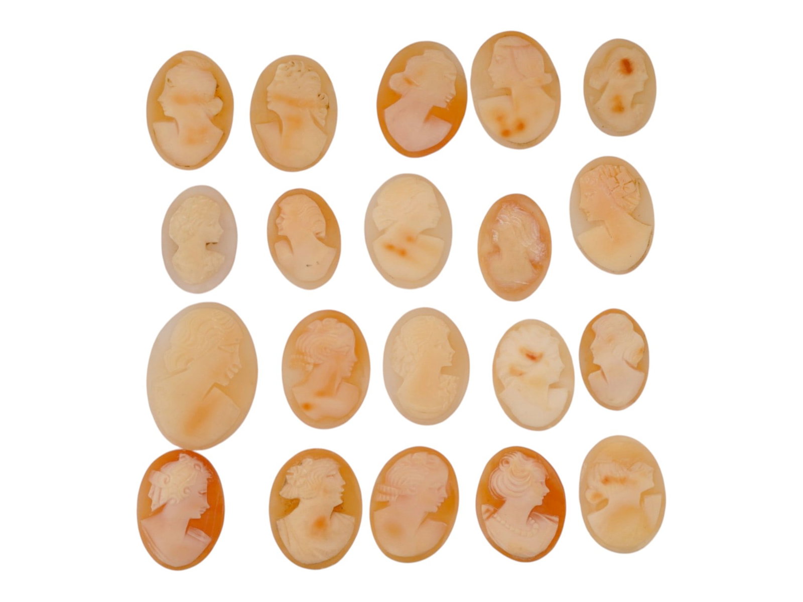 COLLECTION OF HAND CARVED SHELL CAMEO MEDALLIONS (1 of 5)