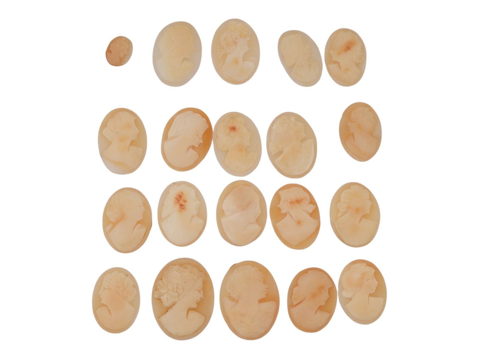 20 HAND CARVED CONCH PORTRAIT SHELL CAMEOS: A lot of 20 hand carved conch shell cameos. Each piece depicts a female profile portrait rendered in high relief. Oval shape. Collectible Jewelry And Glyptic Art, Sculpture. THIS LOT IS ELIGIBLE FOR A