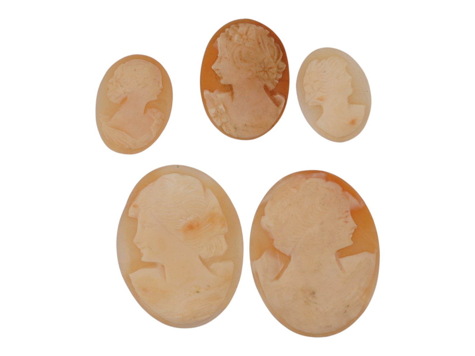 LOT OF FEMALE PORTRAIT CARVED SHELL CAMEOS: A lot of 5 hand carved conch shell cameos. Each piece depicts a female profile portrait rendered in high relief. Oval shape. Collectible Jewelry And Glyptic Art, Sculpture. THIS LOT IS ELIGIBLE FOR A