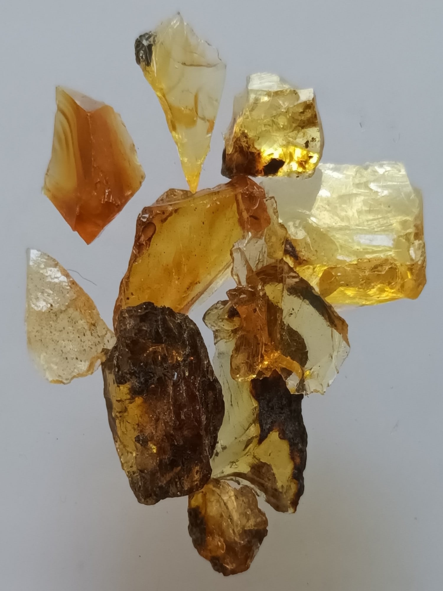 SET OF 10 ROUGH BURMITE AMBER SAMPLES: Set of 10 yellow and brown rough burmite amber (abr8/5). Combined weight: 2.01 grams. Origin: Hukawng valley, Kachin State, Myanmar. THIS LOT QUALIFIES FOR A 30-DAY UNCONDITIONAL RETURN FROM THE DATE