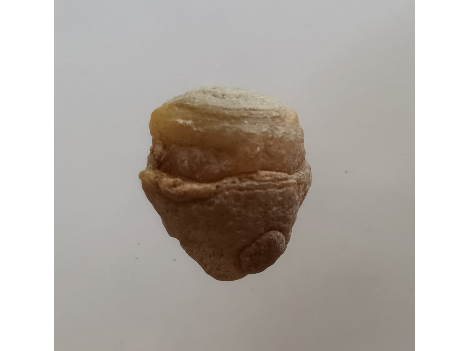 EYE AGATE: Brown & creme colored eye agate (ag21/1). Weight: 7 grams. origin: Aleshan area, Gobi desert, Inner Mongolia, China. THIS LOT QUALIFIES FOR A 30-DAY UNCONDITIONAL RETURN FROM THE DATE OF SALE. BUYERS