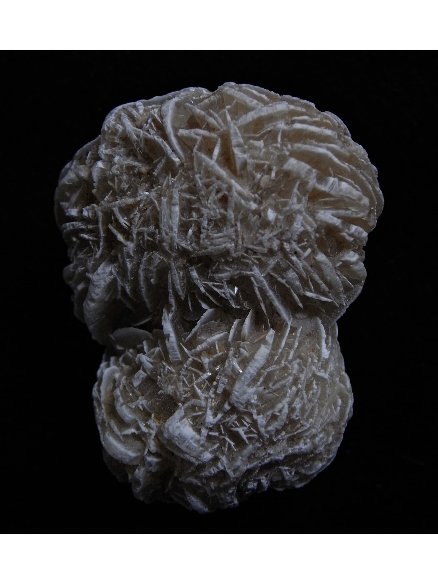 GYPSUM TWIN BALLS CONCRETION "DESERT ROSE": Gypsum twin balls concretion "Desert Rose". Weight: 24 grams. Origin: Samalayuca Desert, Chihuahua, Mexico. THIS LOT QUALIFIES FOR A 30-DAY UNCONDITIONAL RETURN FROM THE DATE OF SALE. BUYERS ARE