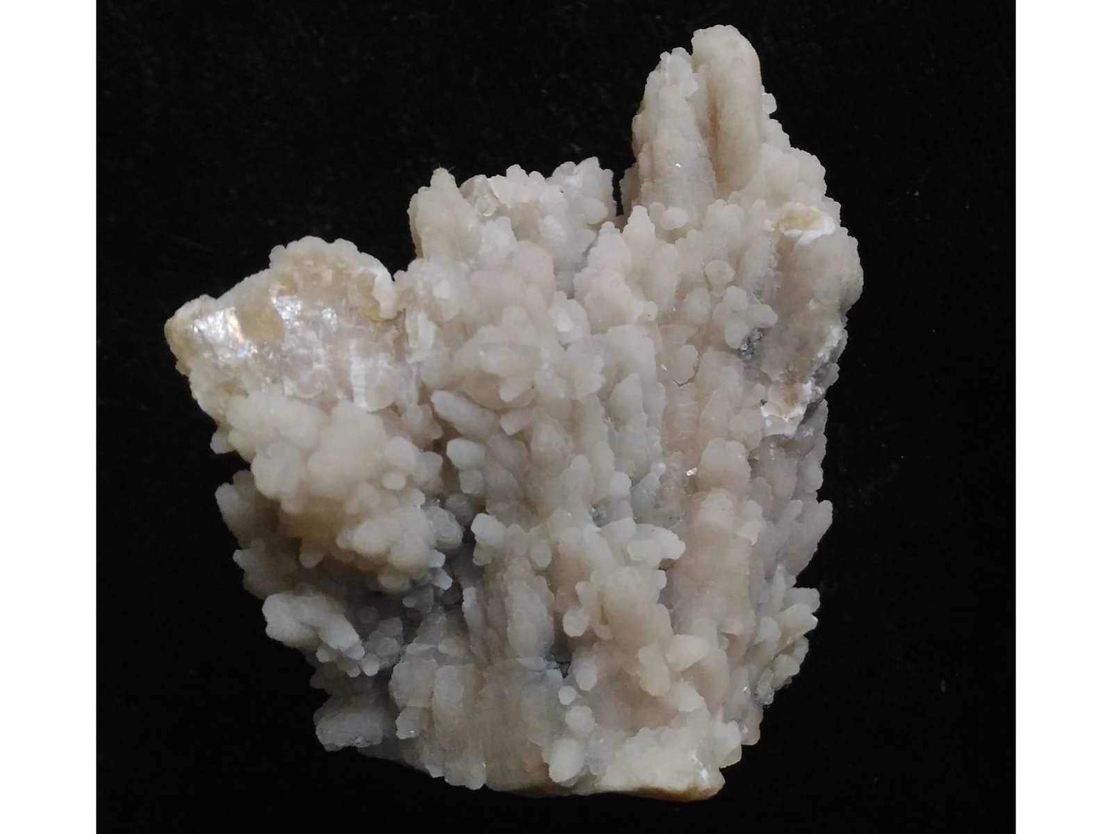 STALAGMITIC ARAGONITE - 3