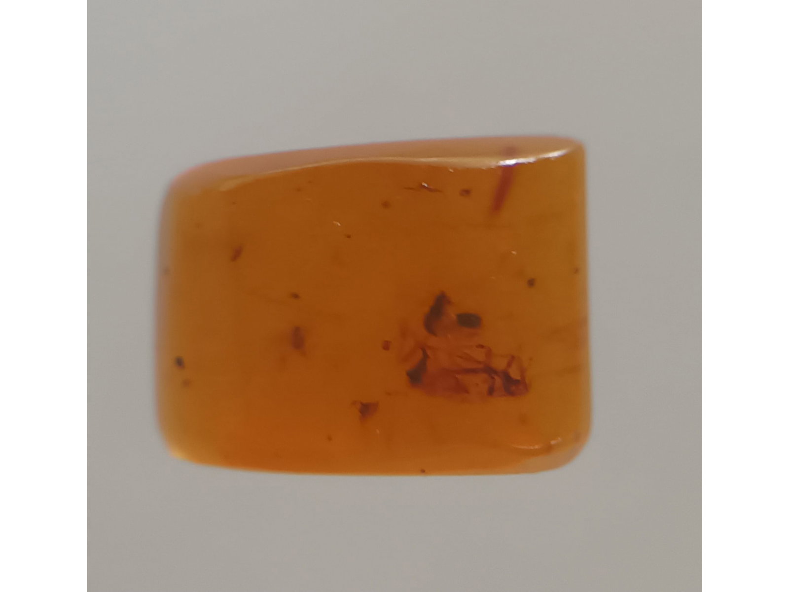 BURMITE AMBER WITH INSECT: Orange brown burmite amber with insect (abr11/39). Weight: 0.78 grams. Age: 99 mill. years. Origin: Hukawng Valley, Kachin State, Myanmar. THIS LOT QUALIFIES FOR A 30-DAY UNCONDITIONAL RETURN FROM