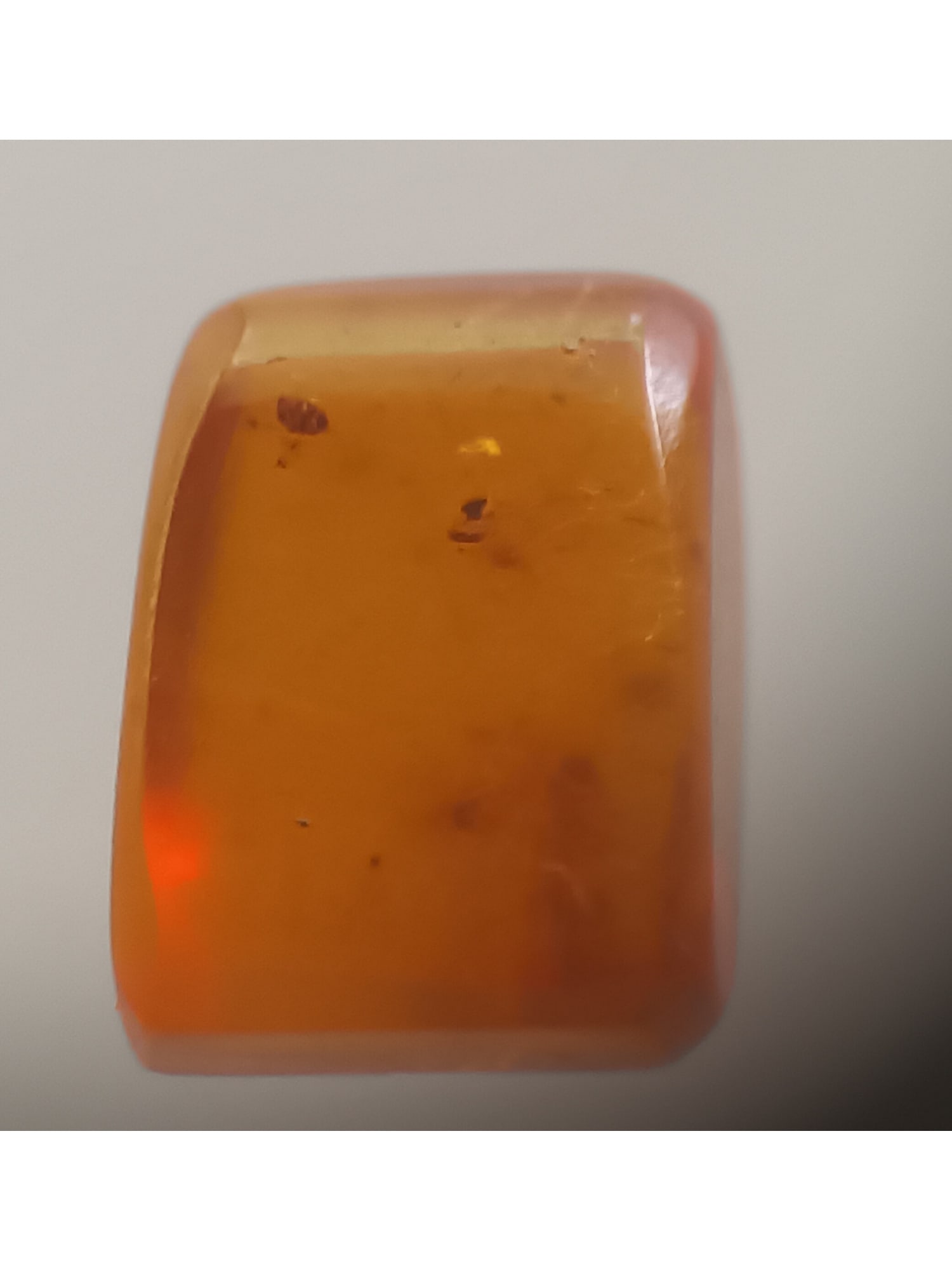 BURMITE AMBER WITH INSECT - 3