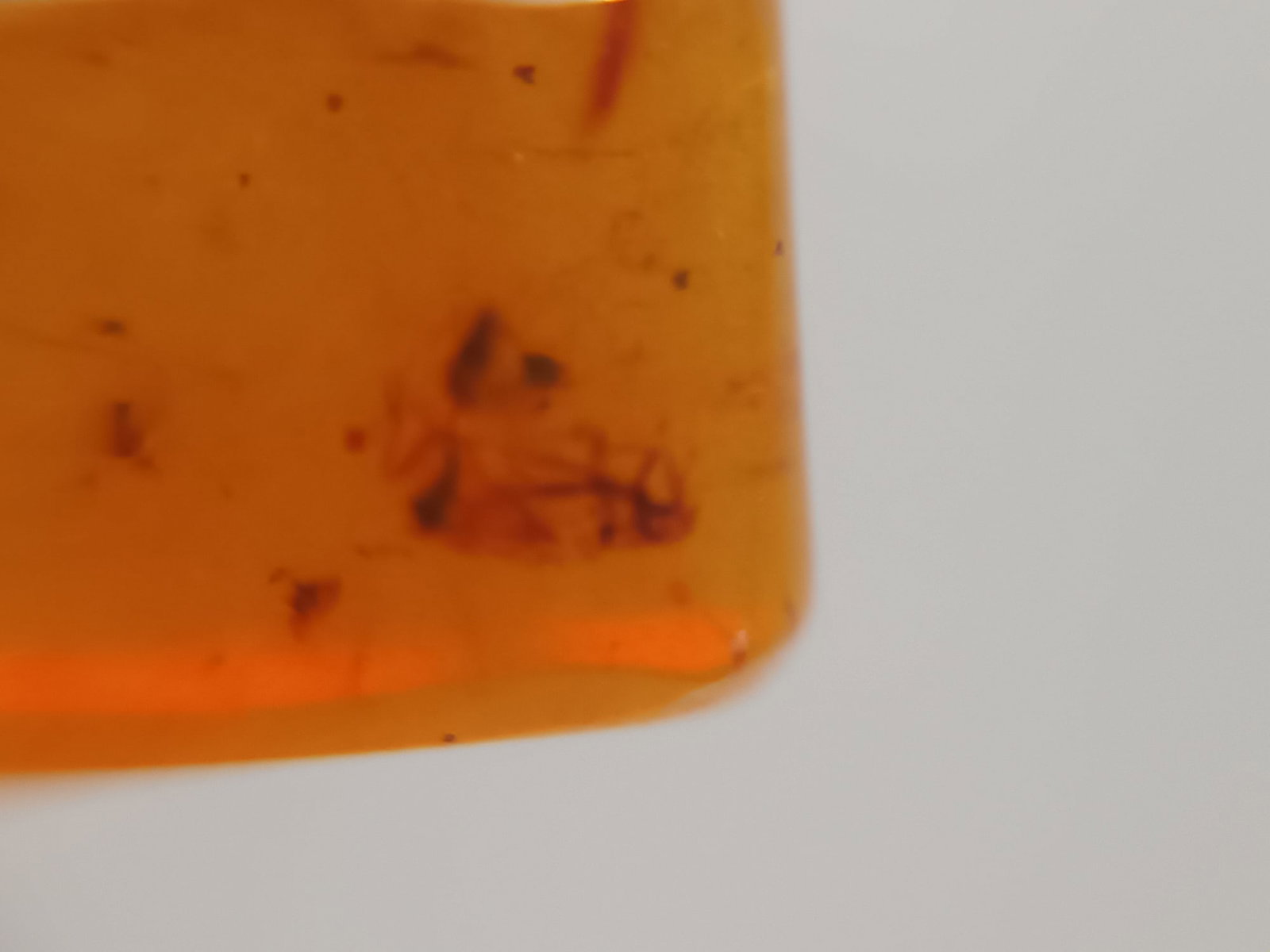 BURMITE AMBER WITH INSECT - 4