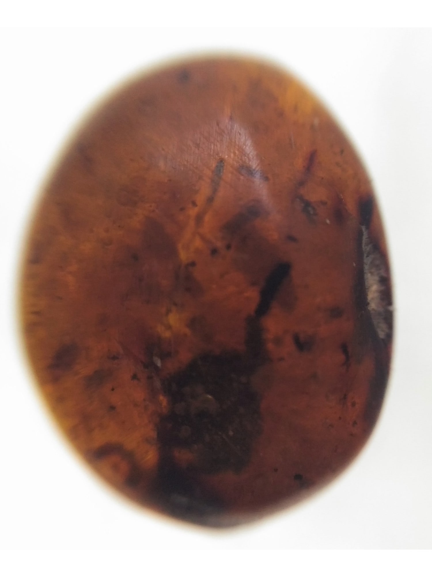 AMBER WITH INCLUSIONS: Translucent dark brown burmite amber with some unidentified inclusions. (ABR7/56) Weight: 0.81 grams. Origin: Hukawng valley, Kachin state, Myanmar. THIS LOT QUALIFIES FOR A 30-DAY UNCONDITIONAL