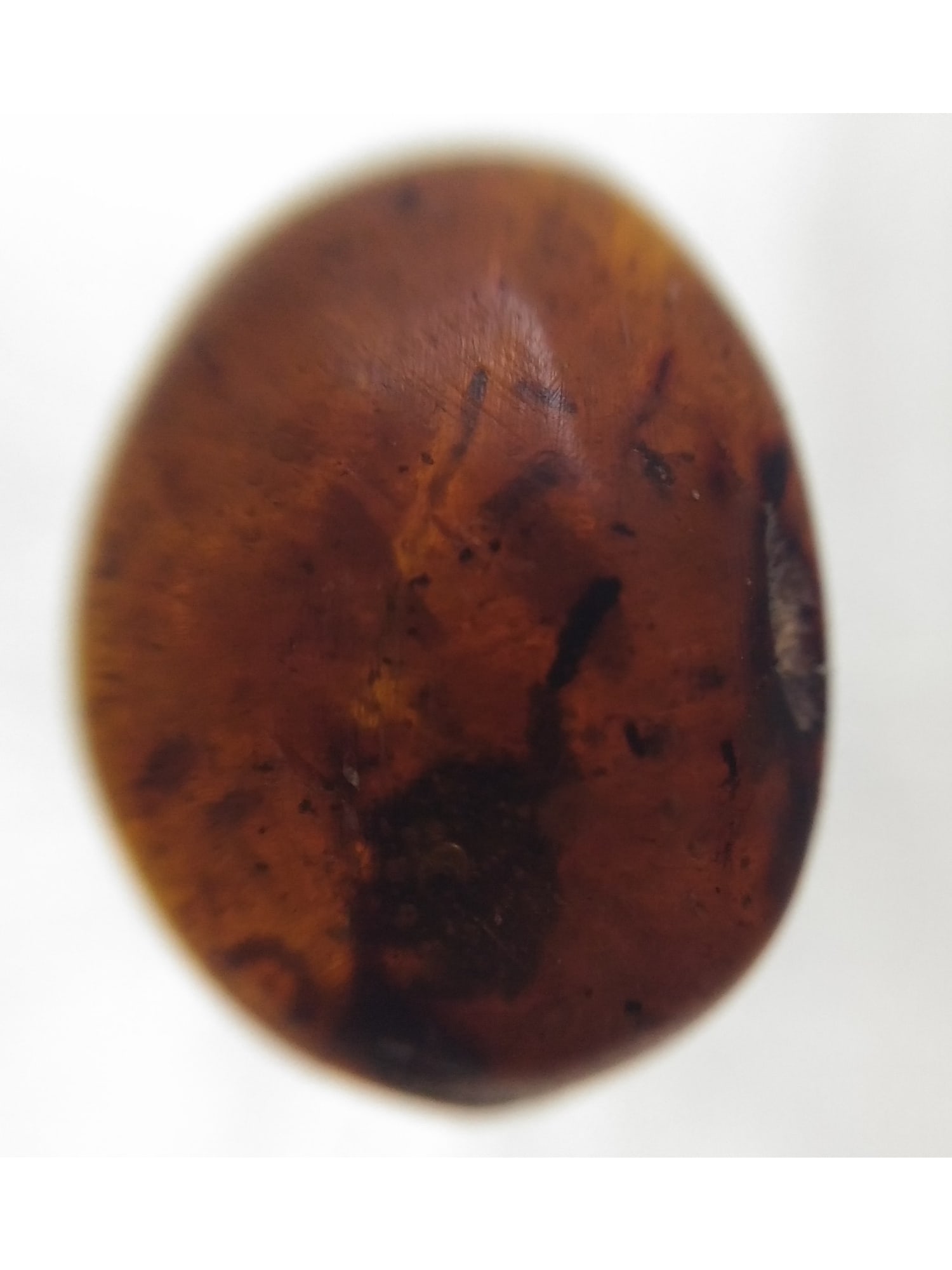AMBER WITH INCLUSIONS - 2