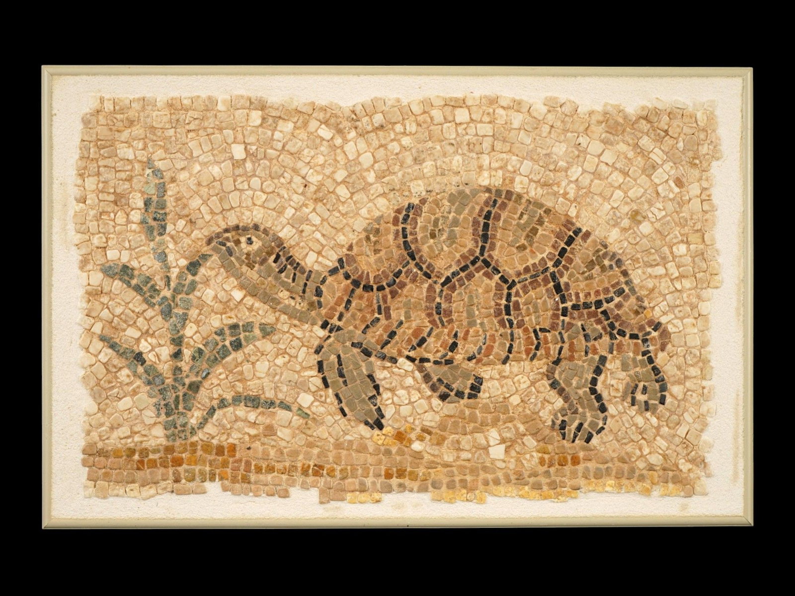 ANCIENT ROMAN MOSAIC FRAGMENT W AN IMAGE OF A TORTOISE: An ancient Roman mosaic fragment, dating circa 100 to 300 AD and featuring the image of a tortoise. Executed with arranged stone tesserae, the composition reflects the Roman appreciation for naturalis