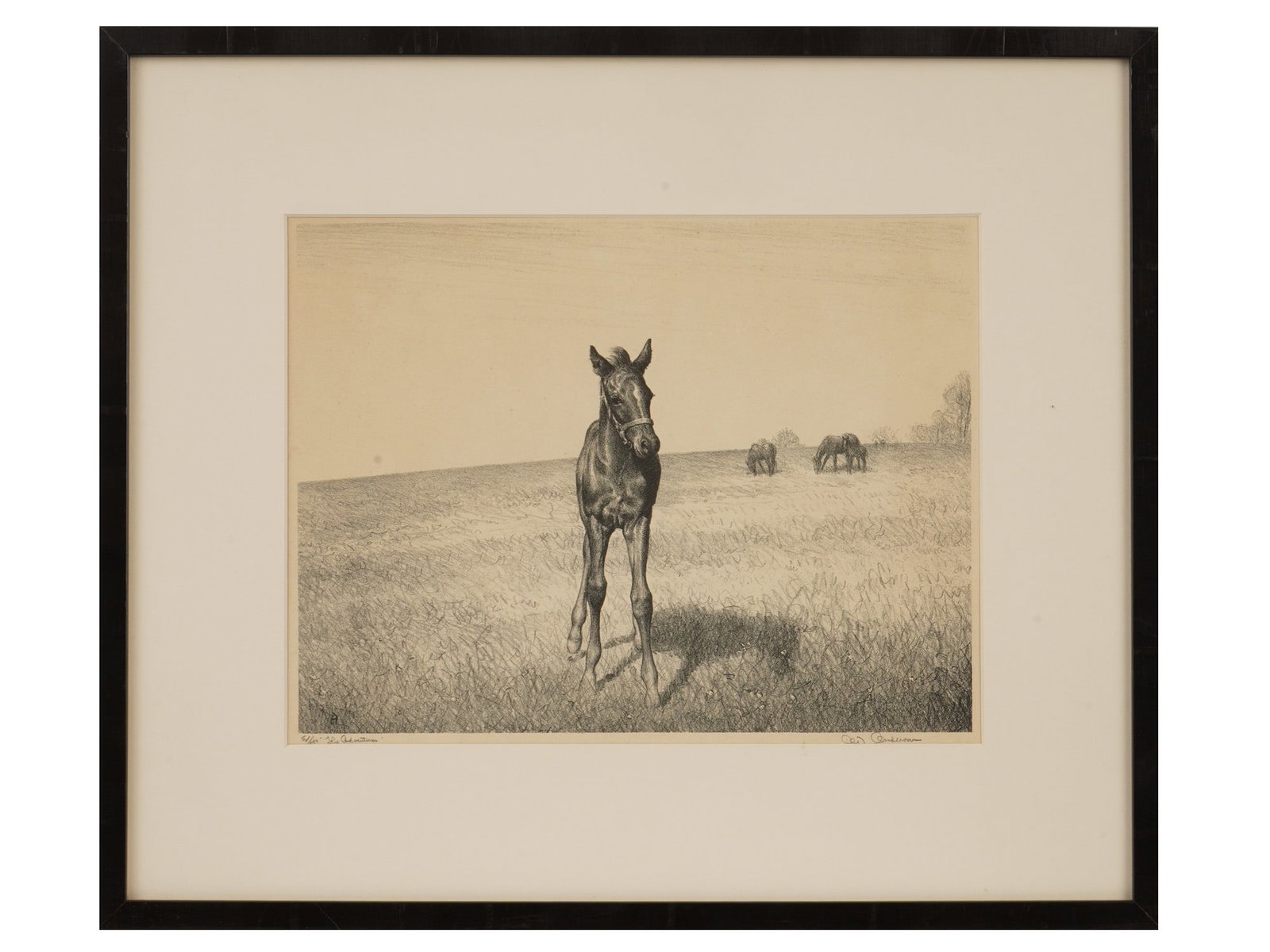 CLARENCE WILLIAM ANDERSON AMERICAN LTD ED LITHOGRAPH: Clarence William Anderson, American, 1891 to 1971, lithograph on paper. The artwork depicts a foal in the pasture, Titled The Adventurer. From an edition of 250, marked lower left. Signed in pencil lo