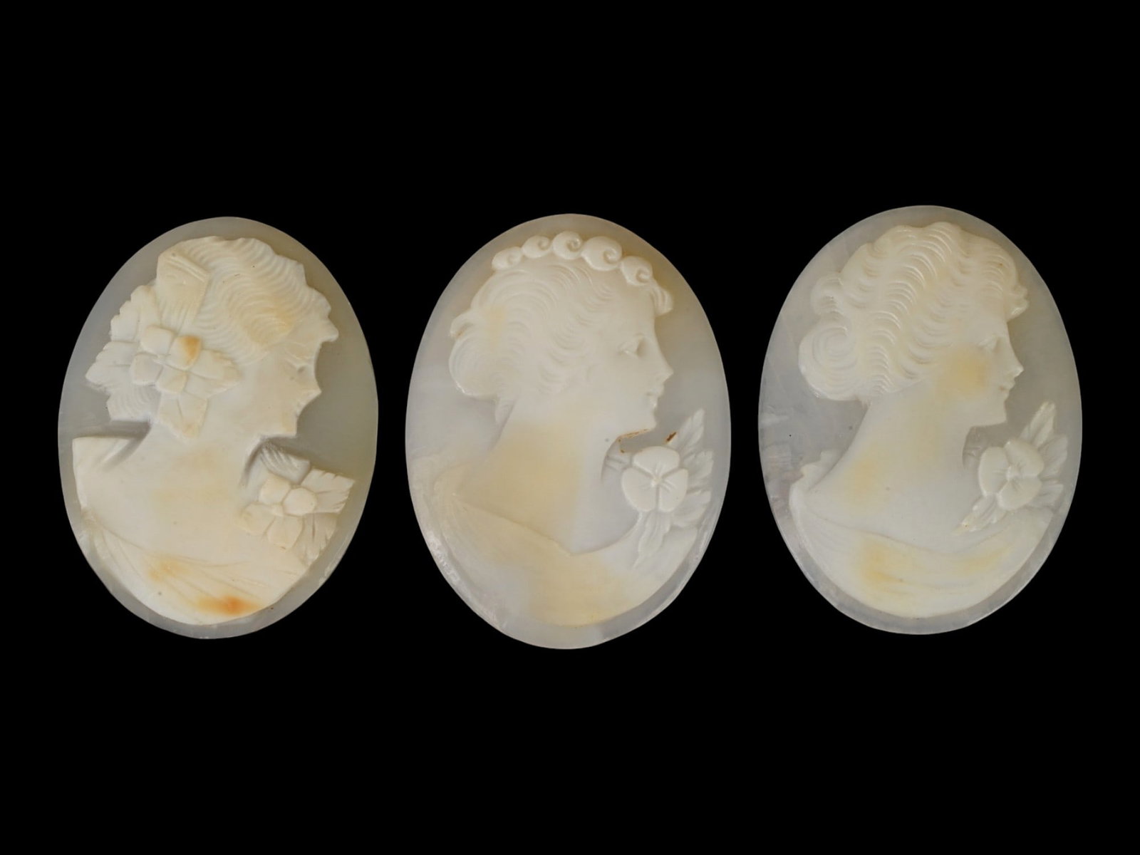 LOT OF FEMALE PORTRAIT CARVED SHELL CAMEOS (1 of 5)