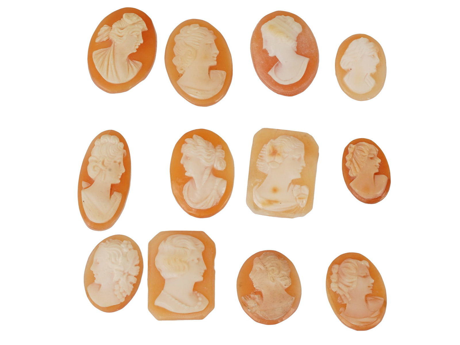 COLLECTION OF FEMALE PORTRAIT CARVED SHELL CAMEOS: A collection of hand carved shell cameos. A total of 12 items. Each piece depicts a female profile portrait rendered in high relief. Oval and rectangular shape. Collectible Jewelry And Glyptic Art, Sc