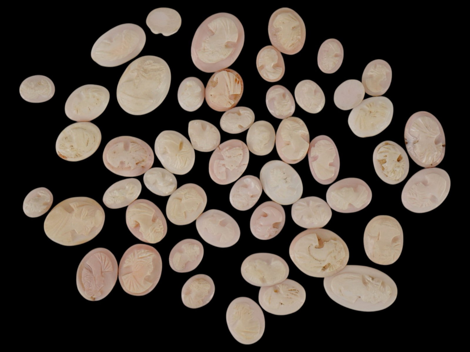 COLLECTION OF FEMALE PORTRAIT CARVED CORAL CAMEOS (1 of 4)