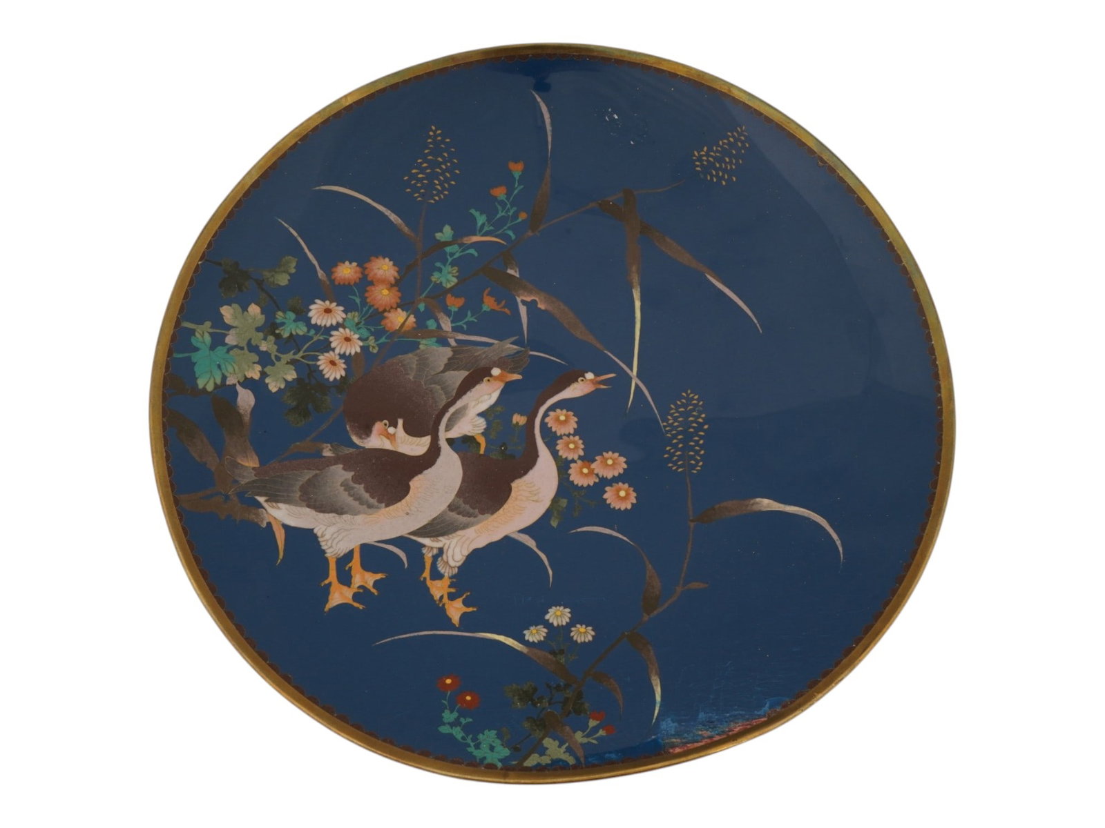 ANTIQUE JAPANESE MEIJI CLOISONNE ENAMEL PLATE: An antique Japanese copper plate with polychrome cloisonne enamel surface. Late Meiji or Taisho period, first quarter of the 20th century. Wild geese and flowers motif against the dark blue background
