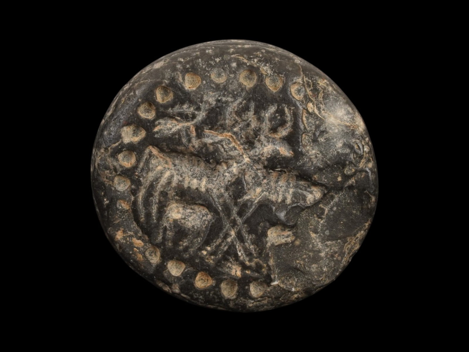 LARGE ANCIENT NEAR EASTERN STEATITE STAMP SEAL: A large ancient Near Eastern black steatite stamp seal, dating to the 2nd millennium to the 1st Millennium BC, carved with stylized animal and birds motifs characteristic of early Mesopotamian glyptic