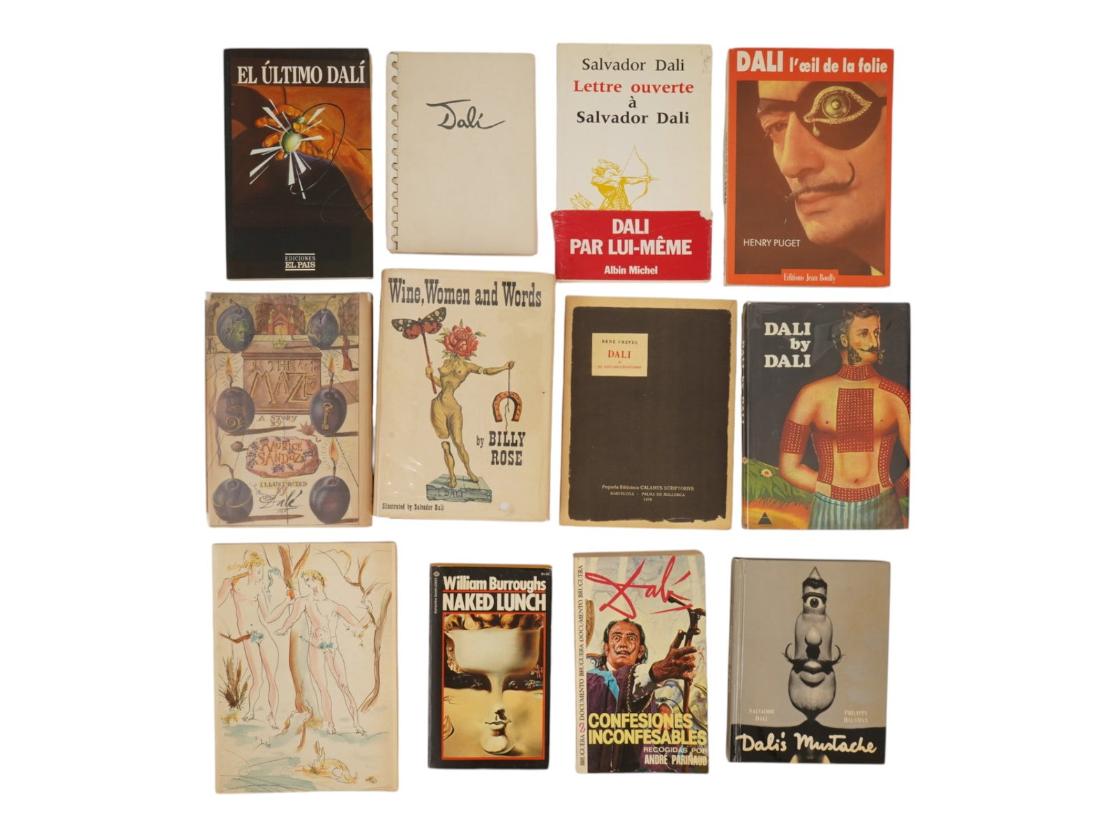 VINTAGE ART BOOKS AND PAPERBACKS ON SALVADOR DALI (1 of 4)