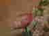 item-76976722=6