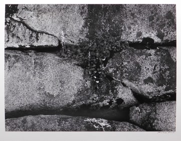 Howard Bond: Rock Wal, Volcanic Lakes