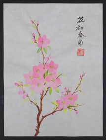 Set of Eight Floral Studies