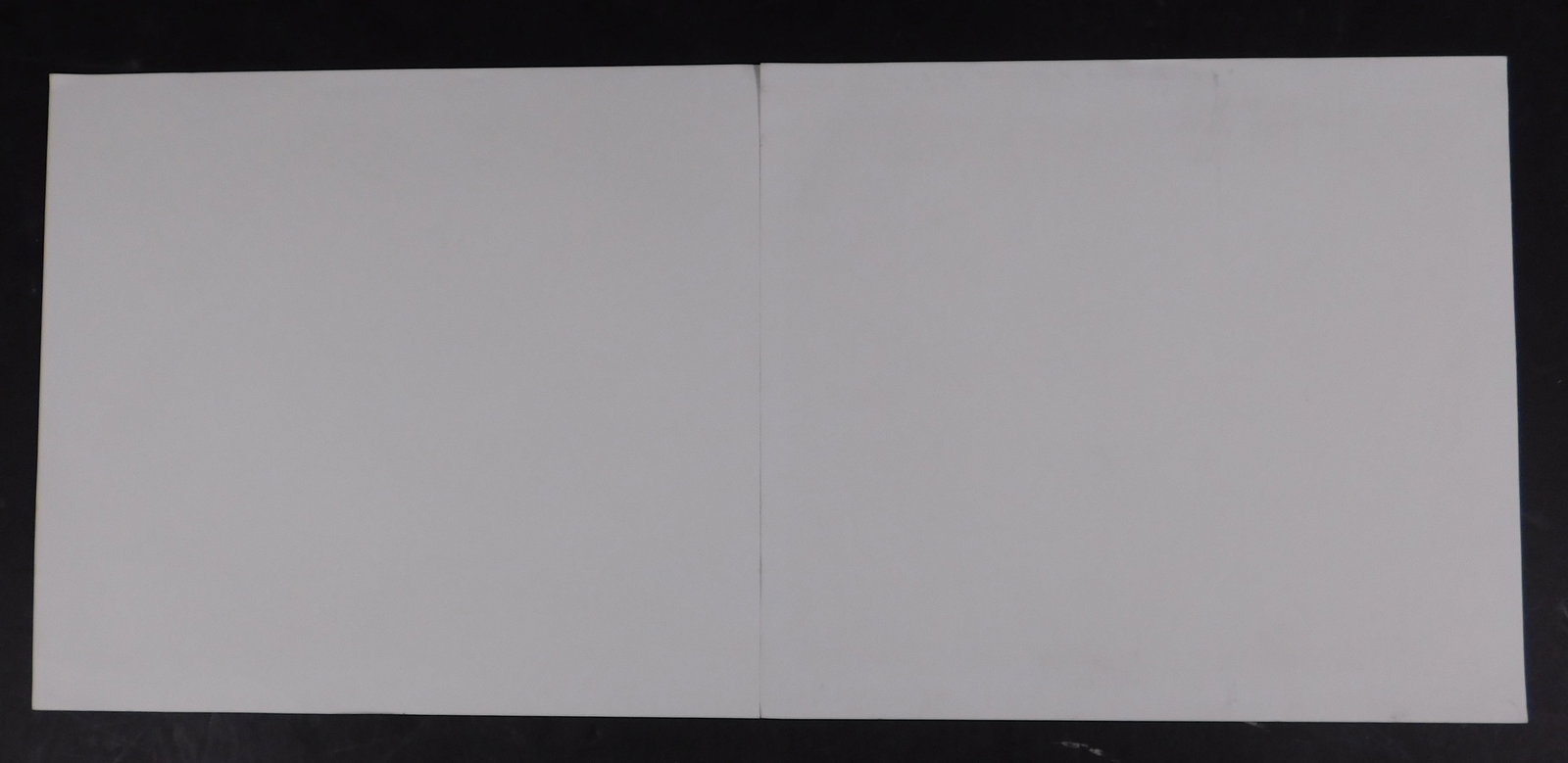 Pablo Picasso: Two Offset Lithographs - 12