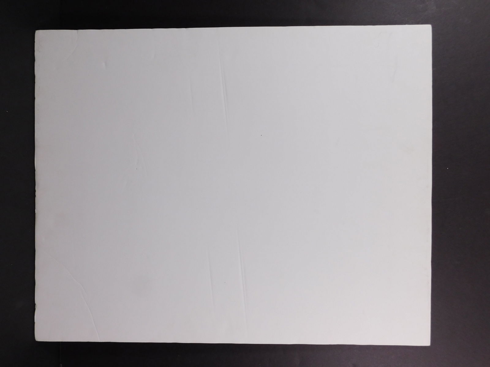 After Pablo Picasso: Pates Blanches - 7