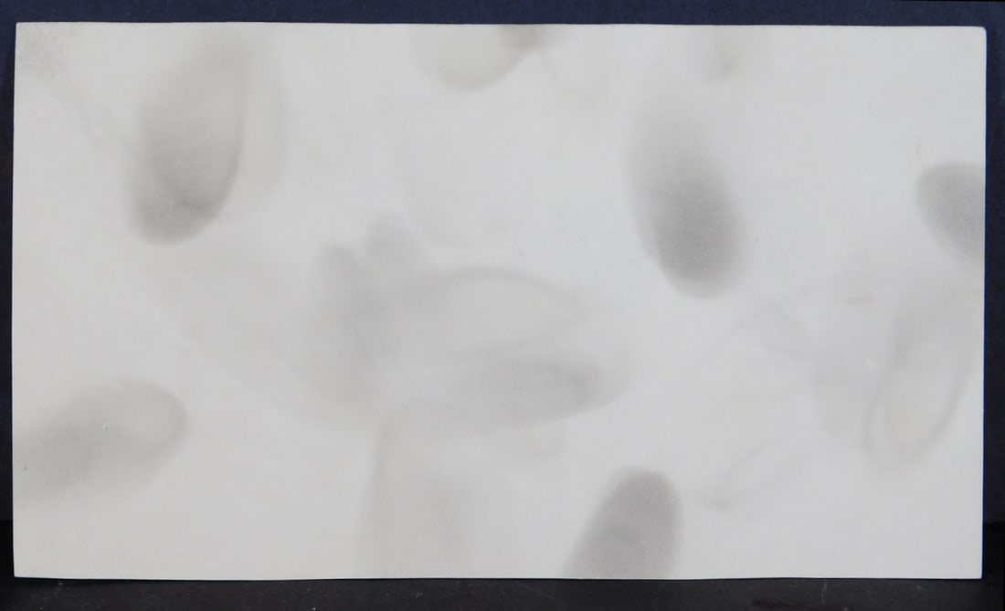 Erte, Attributed: Greyhound - 4