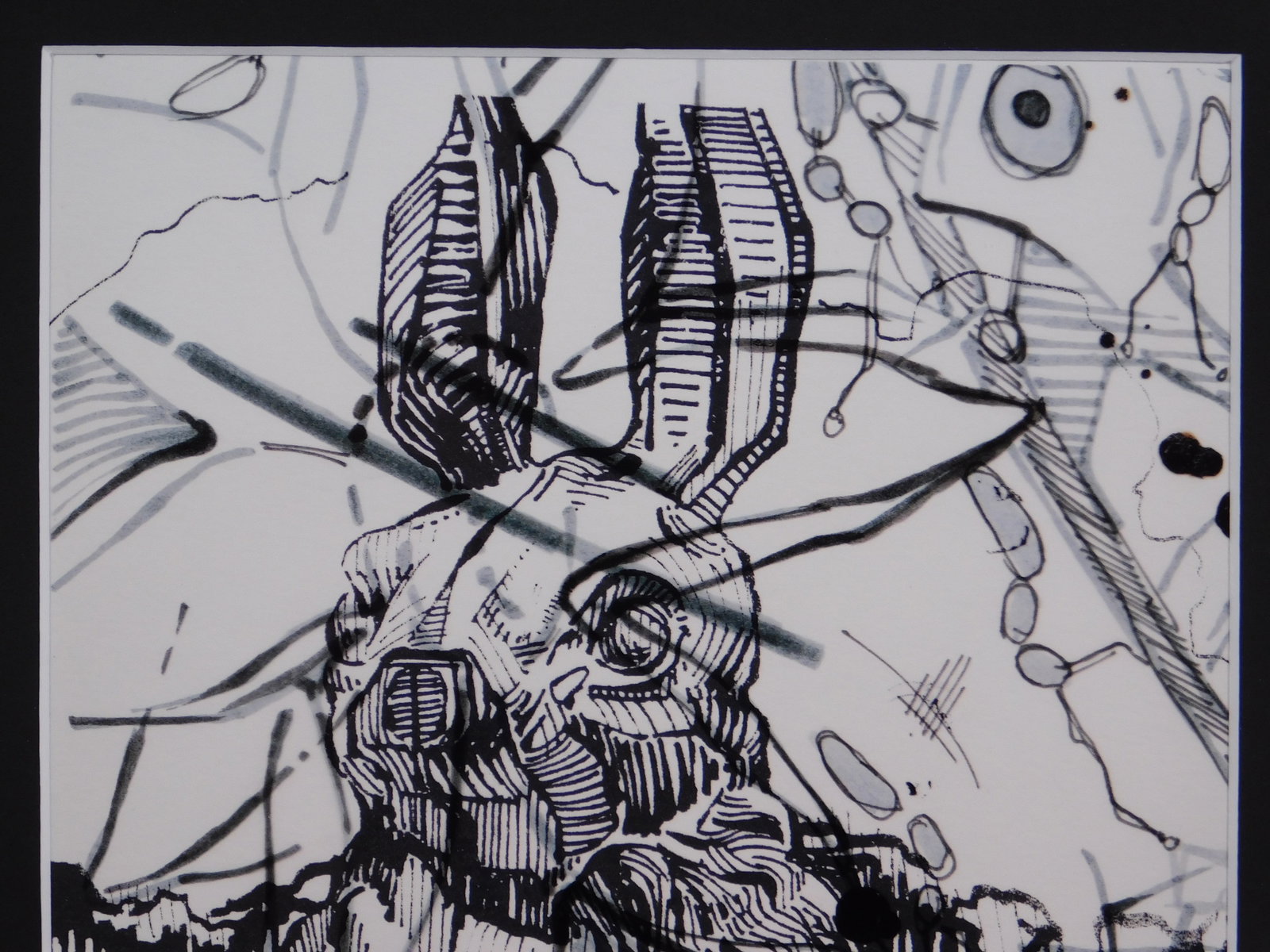 Beck Lane: Rabbit - 2