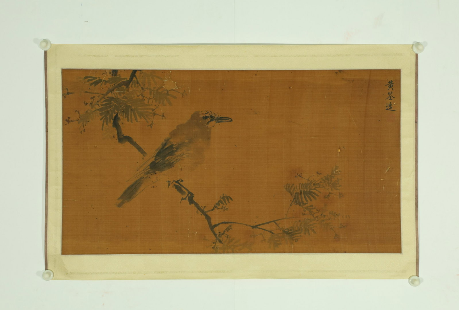 Painting by Huang Quan : Magpie: A Chinese Painting by Huang Quan : Magpie Ink on Silk Painting Album Chinese Ming Dynasty Size:60x32.5cm 黄筌喜鹊图绢本册页