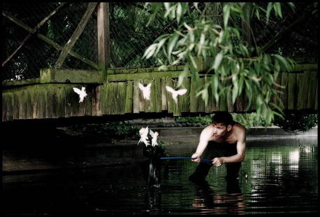 MAT COLLISHAW, "The fairies hunter". Year 1996: C-type photograph. Size 45x65 cm. Unique work. Provenance: Raucci Santamaria Gallery, Naples (Italy); Private Collection, Italy