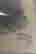 item-131583843=5