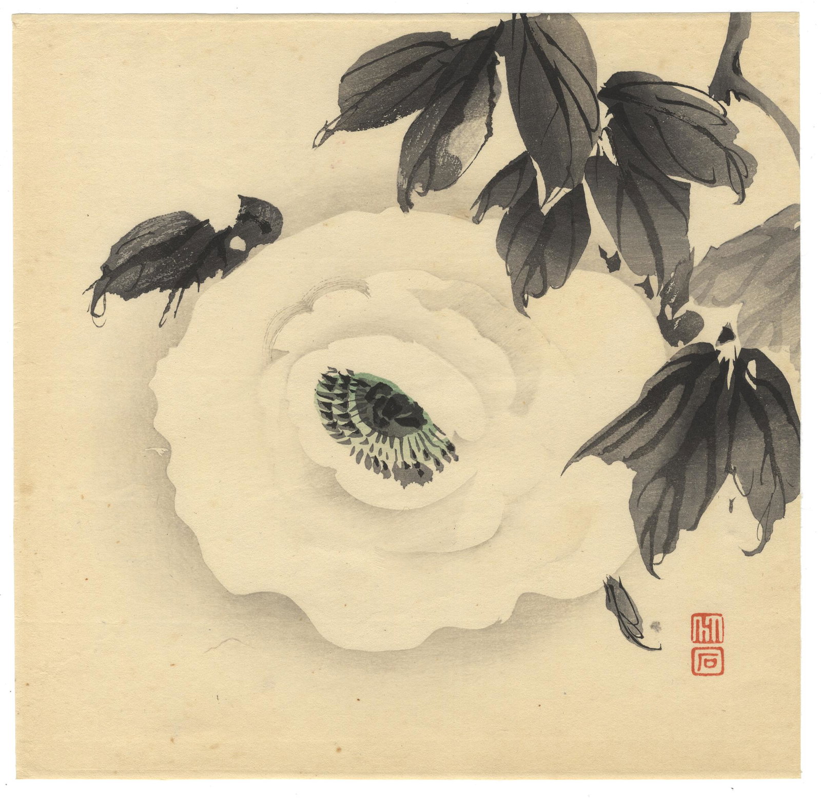 Chikuseki, Peony, Japanese Woodblock Print: Artist: Chikuseki Yamamoto (1881 - ?) Title: Peony Date: Early 20th century Size: 23.5 x 22.8 cm Ref: JG0511B37