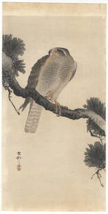 Ohara Koson, Goshawk, Pine, Original Japanese Woodblock Print: Artist: Ohara Koson (1877-1945) Title: Goshawk on Pine Branch Publisher: Daikokuya Date: Early 20th century Dimensions: 37.0 x 18.7 cm Ref: JG111738-17